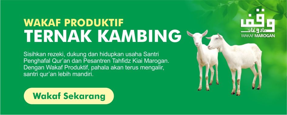 c1da8d05-776b-47a8-b56d-7418035c8bcf