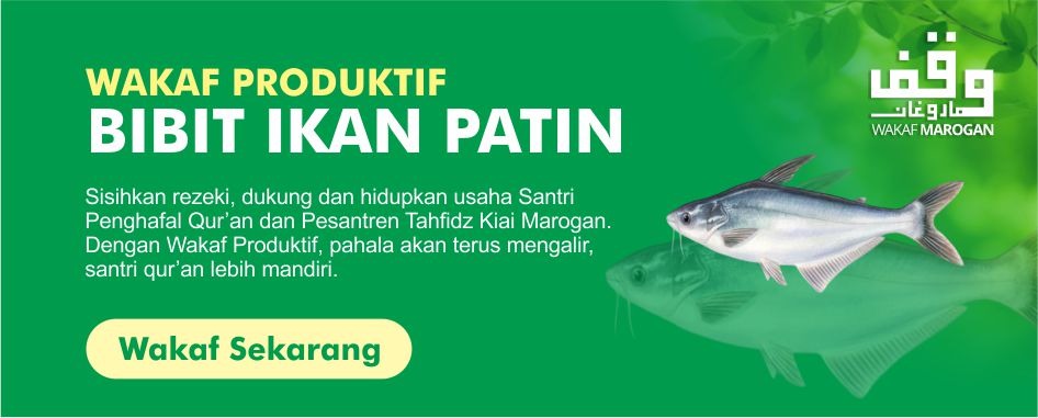 d95c8acd-5c43-405a-8858-e40751f1428f